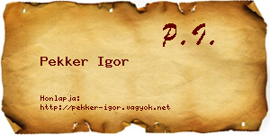 Pekker Igor névjegykártya
